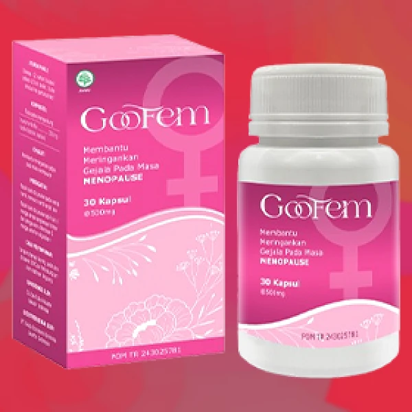 GOOFEM