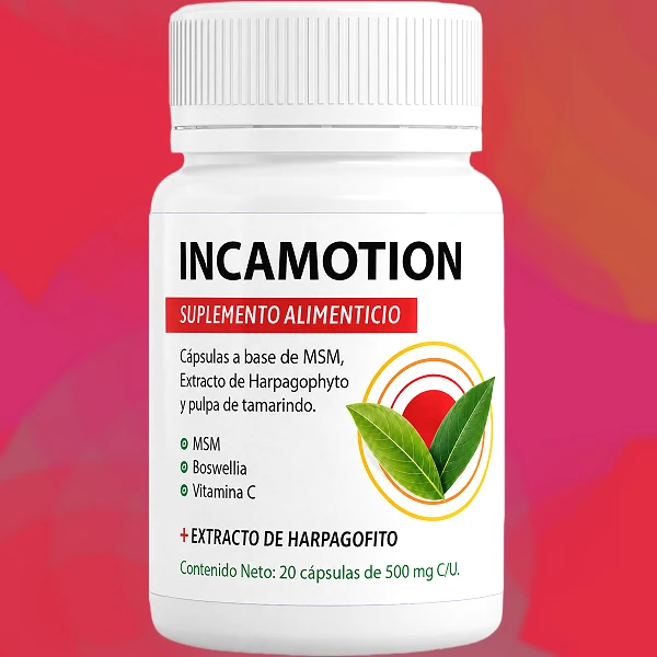 IncaMotion