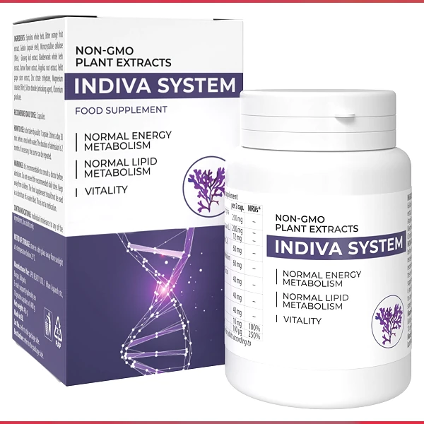 InDiva System